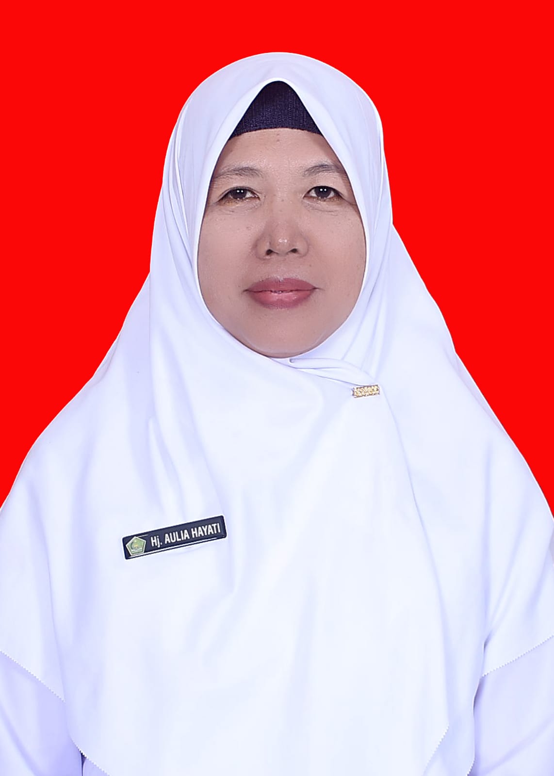 Ibu Aulia Hayati